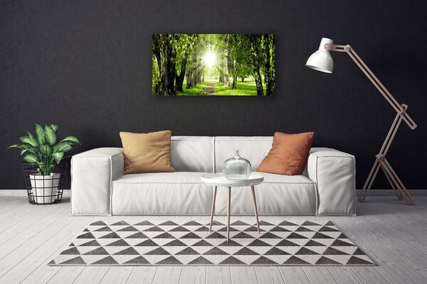 Obraz canvas Rozświetlona Ścieżka Leśna