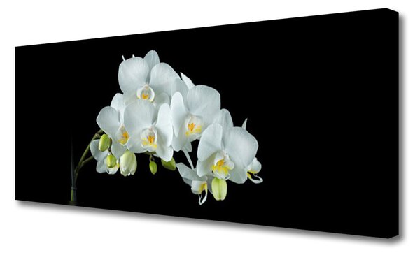 Obraz canvas Pastelowa Kompozycja Florystyczna