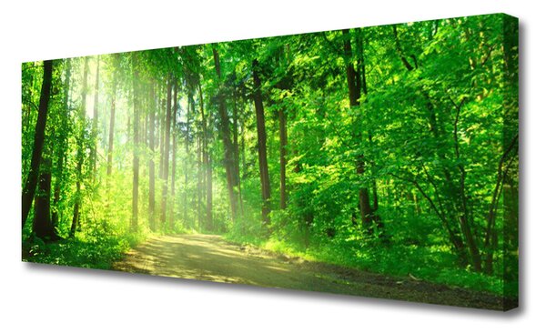 Obraz canvas Ścieżka w Głębi Lasu