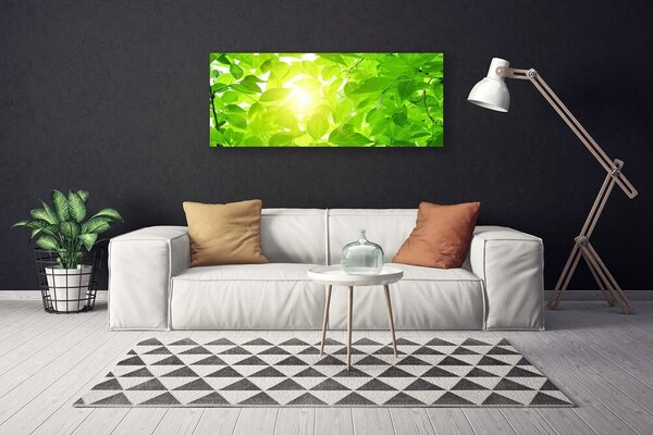 Obraz canvas Słońce w Koronach Drzew