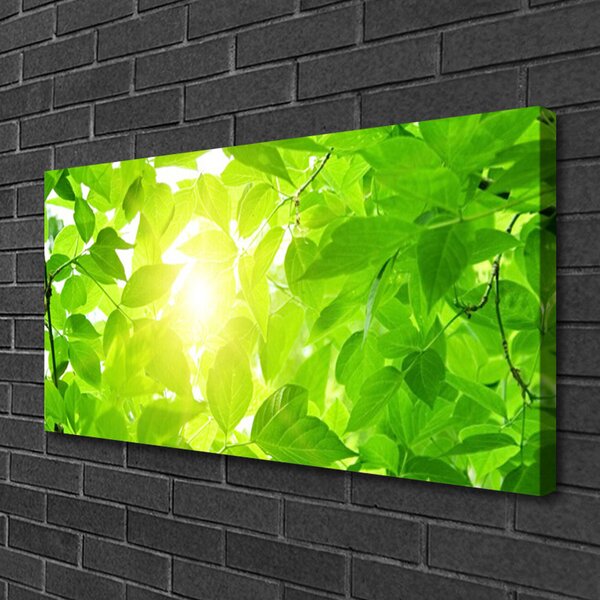 Obraz canvas Słońce w Koronach Drzew