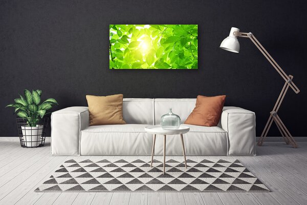 Obraz canvas Słońce w Koronach Drzew