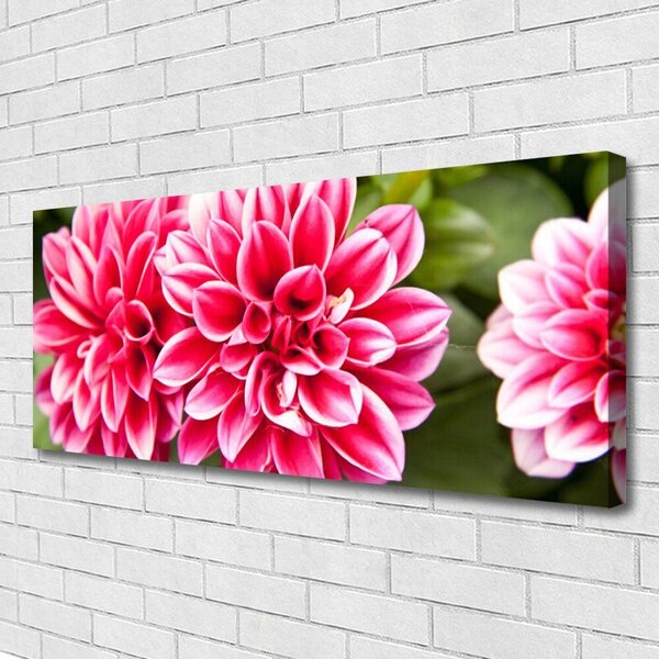 Obraz canvas Wyrafinowana Flora Ścienna