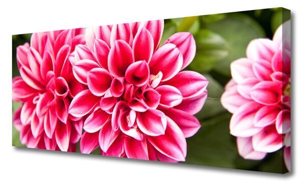 Obraz canvas Wyrafinowana Flora Ścienna