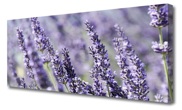 Obraz canvas Natura w Pełnym Rozkwicie