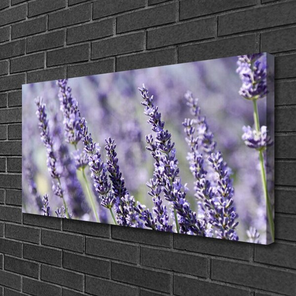 Obraz canvas Natura w Pełnym Rozkwicie