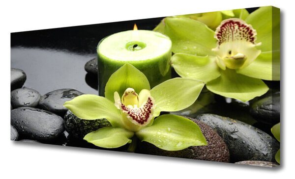 Obraz canvas Elegancja Białej Orchidei