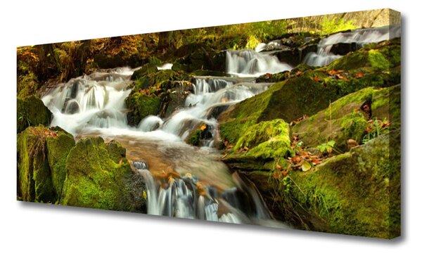 Obraz canvas Kaskada nad Górską Przepaścią