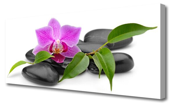 Obraz canvas Orchidea w Nowoczesnym Wydaniu