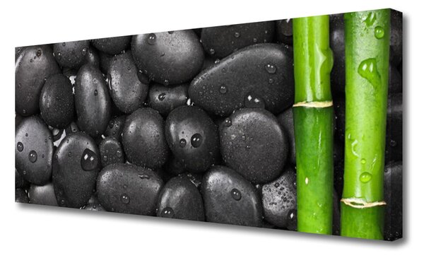 Obraz canvas Świeżość Bambusa w Spa