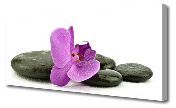Obraz canvas Królewska Orchidea w Detalu