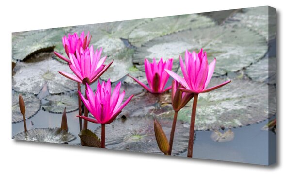 Obraz canvas Wyrafinowany Motyw Florystyczny