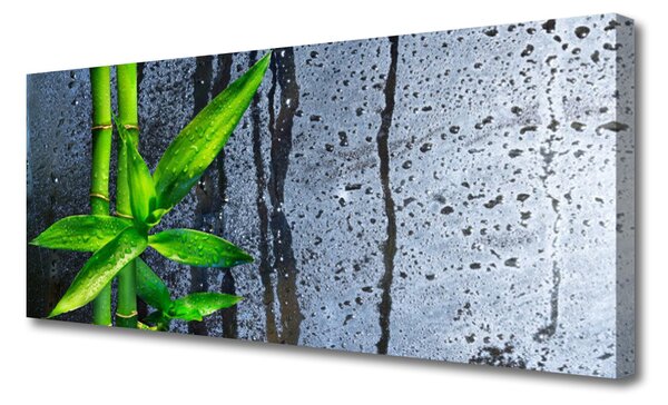 Obraz canvas Świeżość Zielonego Bambusa