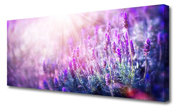 Obraz canvas Rozkwitająca Natura w Kwiatach