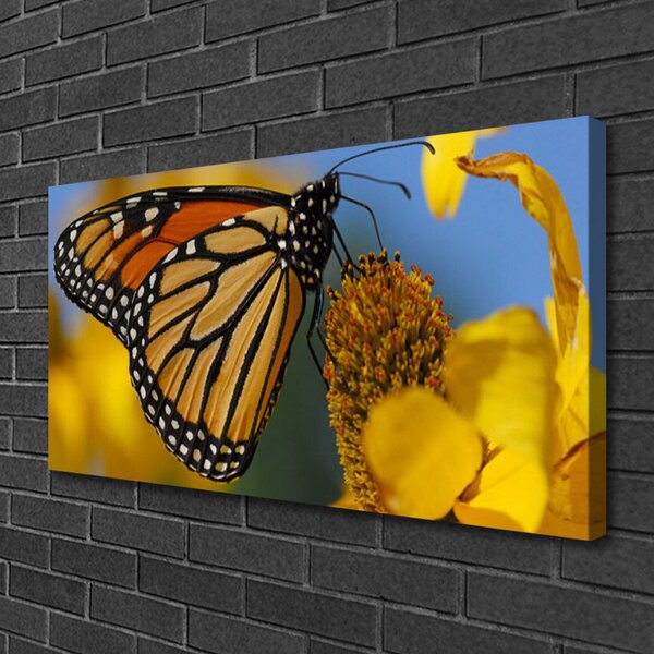 Obraz canvas na ścianę Kolorowy Motyl na Kwiatku