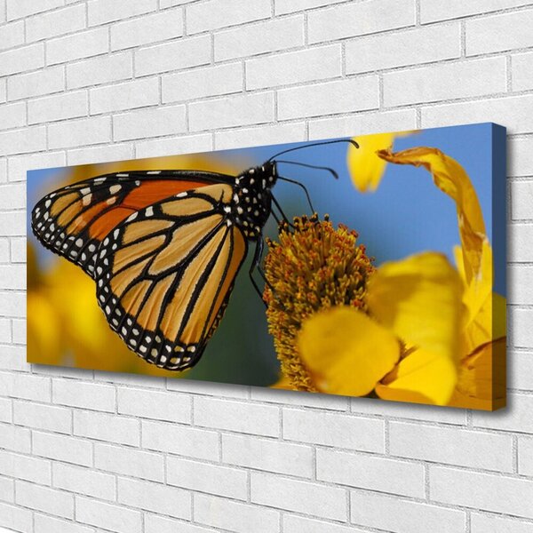 Obraz canvas na ścianę Kolorowy Motyl na Kwiatku