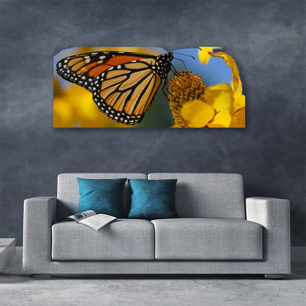 Obraz canvas na ścianę Kolorowy Motyl na Kwiatku