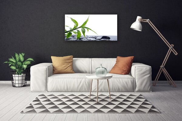 Obraz canvas na ścianę Harmonijne Połączenie Liści i Kamieni