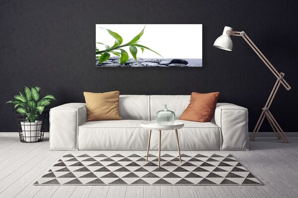 Obraz canvas na ścianę Harmonijne Połączenie Liści i Kamieni