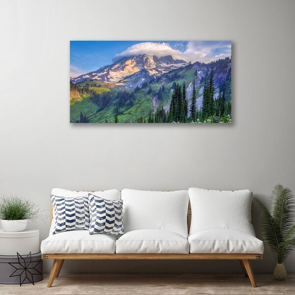 Obraz canvas na ścianę Panorama Górskiego Boru
