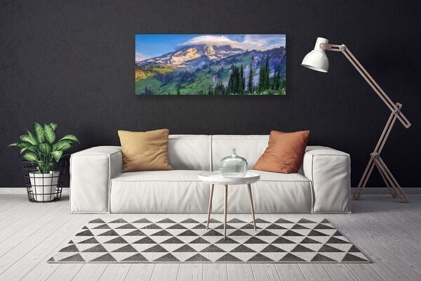 Obraz canvas na ścianę Panorama Górskiego Boru