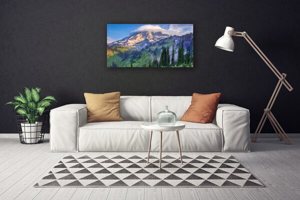 Obraz canvas na ścianę Panorama Górskiego Boru