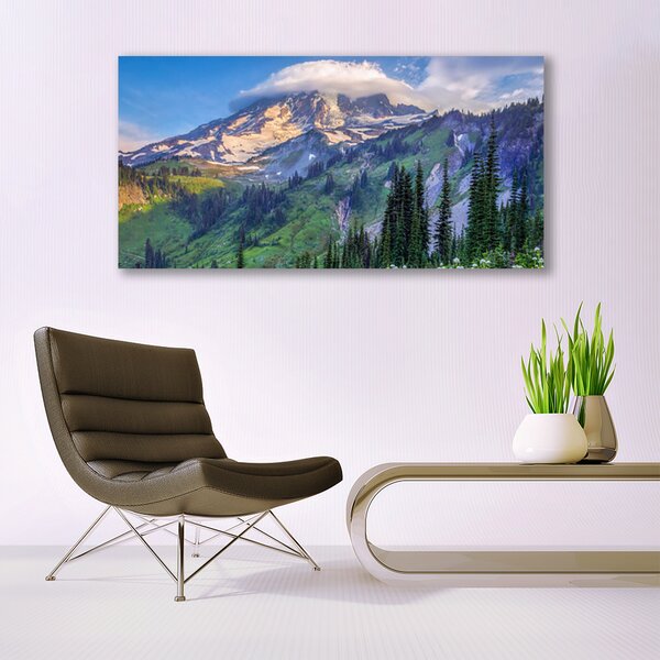 Obraz canvas na ścianę Panorama Górskiego Boru