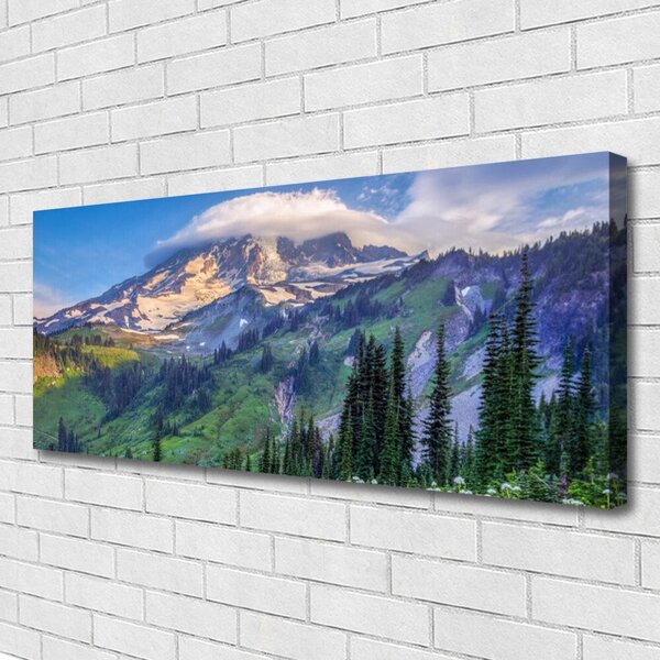Obraz canvas na ścianę Panorama Górskiego Boru