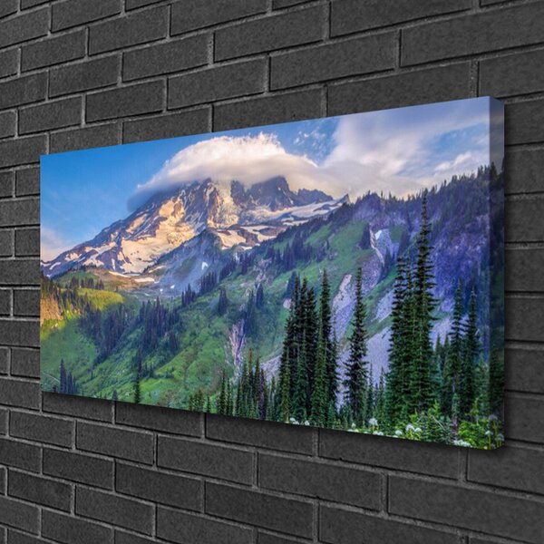 Obraz canvas na ścianę Panorama Górskiego Boru