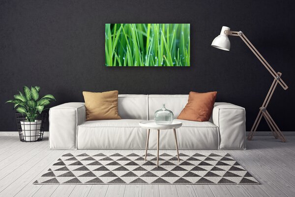 Obraz canvas Poranna Świeżość Trawy