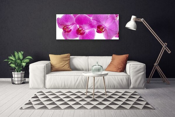 Obraz canvas Świeżość Wiosennych Kwiatów