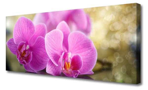 Obraz canvas Wyrafinowany Bukiet Botaniczny