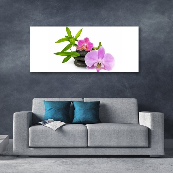 Obraz canvas Klasyczna Biała Orchidea