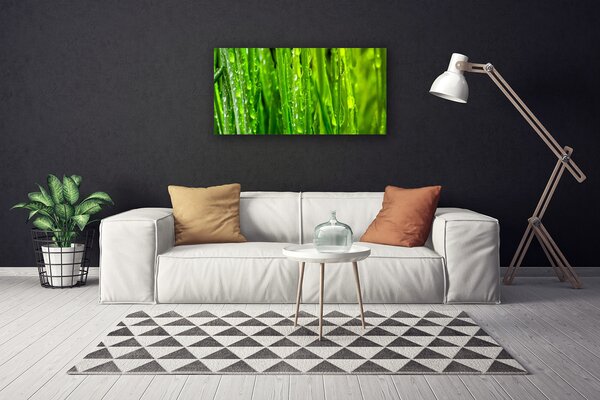 Obraz canvas Naturalna Tekstura Zielonej Trawy