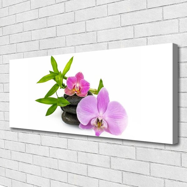 Obraz canvas Klasyczna Biała Orchidea