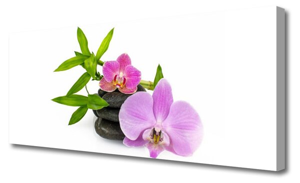 Obraz canvas Klasyczna Biała Orchidea