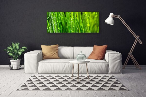 Obraz canvas Naturalna Tekstura Zielonej Trawy
