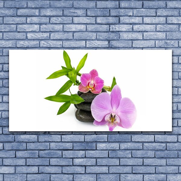 Obraz canvas Klasyczna Biała Orchidea