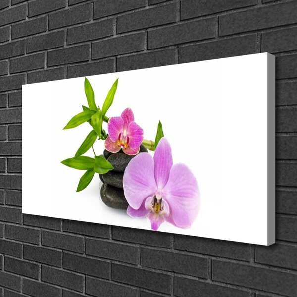Obraz canvas Klasyczna Biała Orchidea