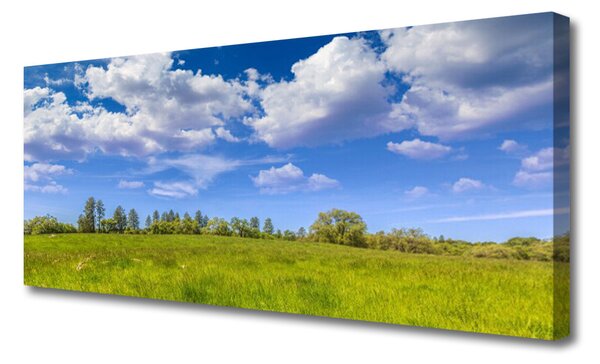 Obraz canvas Bezkres Zielonej Hali