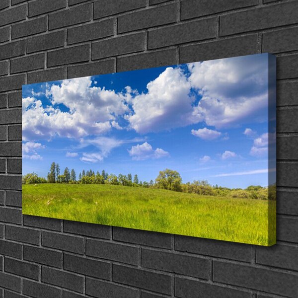 Obraz canvas Bezkres Zielonej Hali