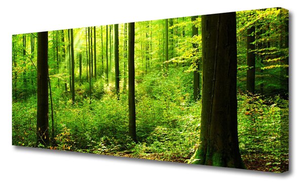 Obraz canvas Gęsty Bór Liściasty