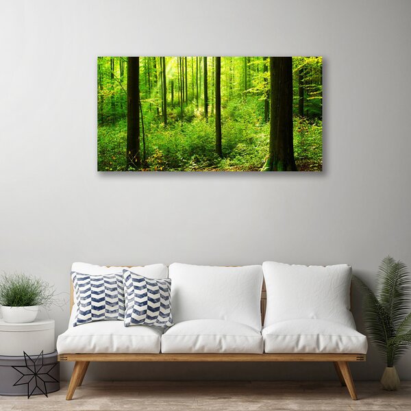 Obraz canvas Gęsty Bór Liściasty