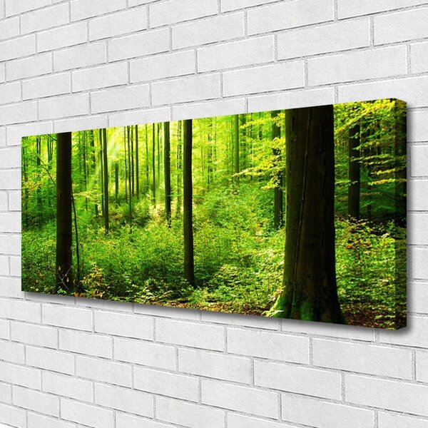 Obraz canvas Gęsty Bór Liściasty