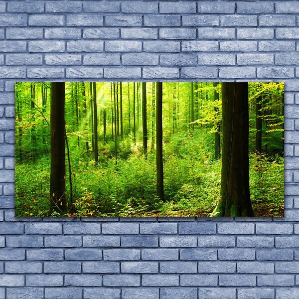 Obraz canvas Gęsty Bór Liściasty