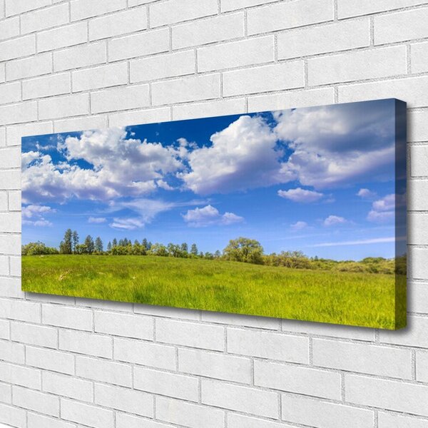 Obraz canvas Bezkres Zielonej Hali
