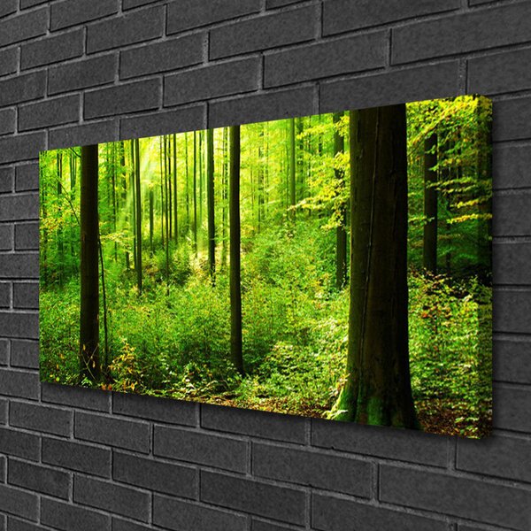 Obraz canvas Gęsty Bór Liściasty