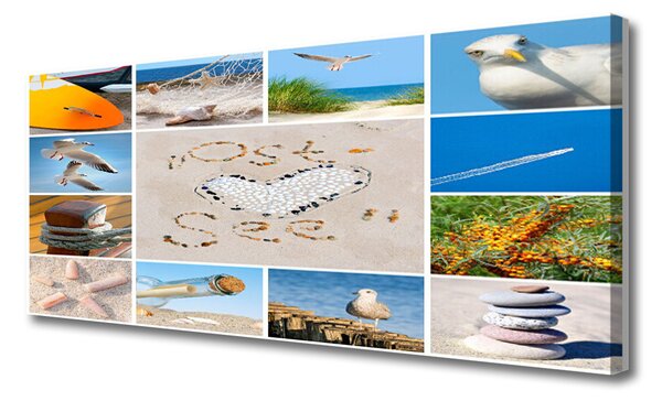Obraz canvas Mewy nad Brzegiem Oceanu