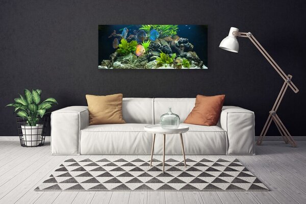 Obraz canvas Egzotyczne Ryby w Akwarium