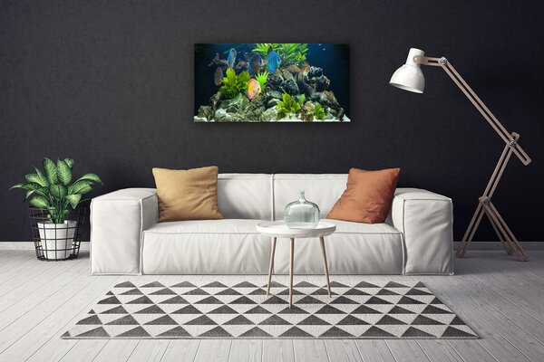 Obraz canvas Egzotyczne Ryby w Akwarium